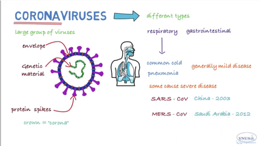 PHÂN TÍCH NCOV - VIRUS CORONA - 2020